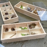 Image de Boîtes de découverte en bois