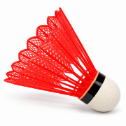 Image de Volants de badminton junior, lot de 12